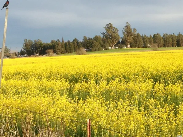 595 Stony Point Road, Petaluma, CA 94952