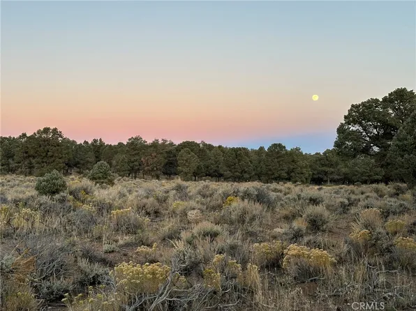 0 Kickapoo Dr, Big Bear City, CA 92314