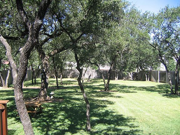 View from House of Back Yard