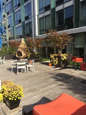 Rented by Greystar | media 2