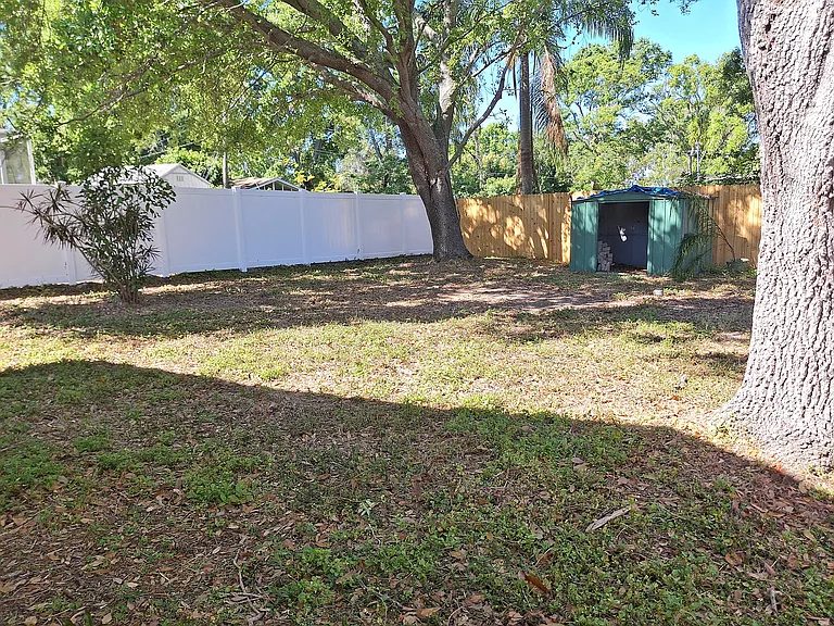 Backyard
