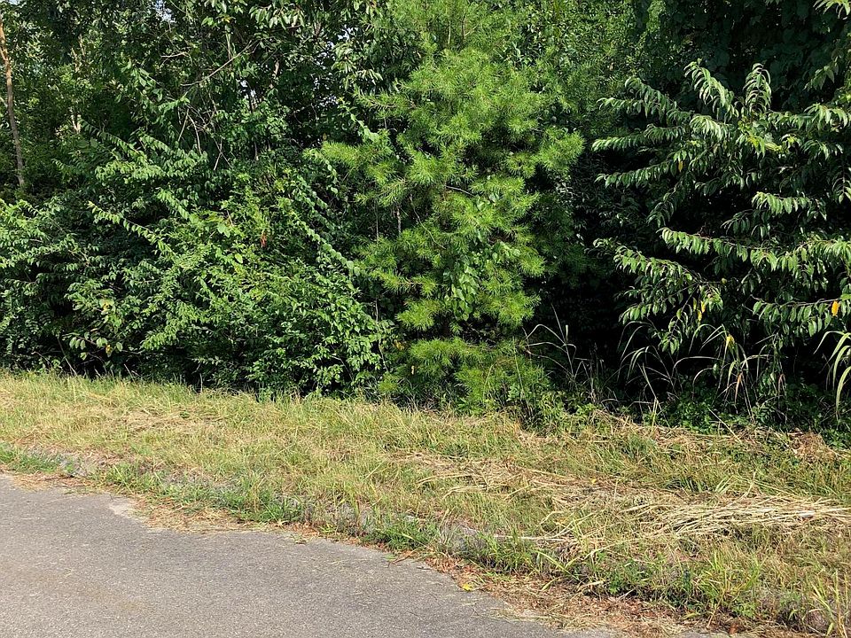 1st image of Blue Springs Rd