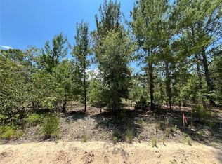 323 Himalayan St #5, Interlachen, FL 32148