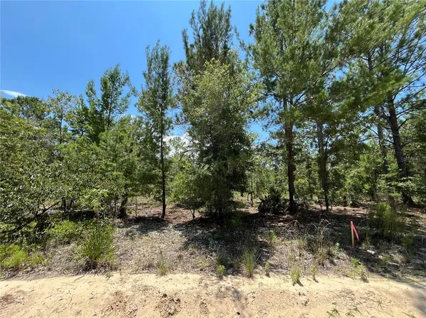 323 Himalayan St #5, Interlachen, FL 32148