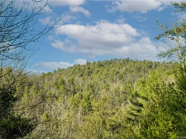 38 Bear Paw Ridge Rd, Zirconia, NC 28790