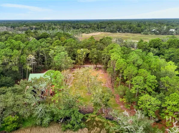 3010 NE Dallas Bluff Road, Townsend, GA 31331