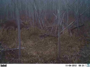 0 Deswart Rd, Herbster, WI 54844