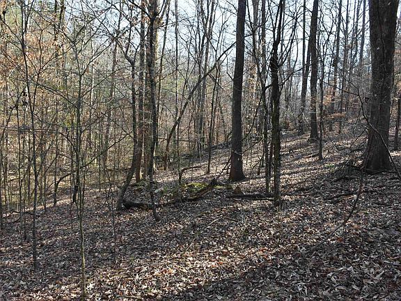 2nd image of Coosa County Road 70 #0