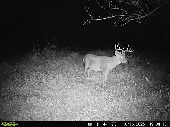 2nd image of S2986 BARTH ROAD