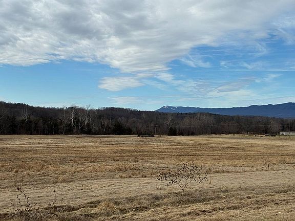 2nd image of 0 Loop Rd