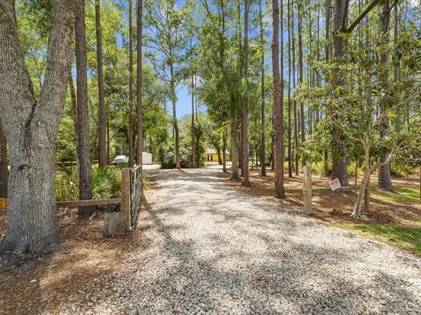 19502 Pine Tree Rd, Odessa, FL 33556