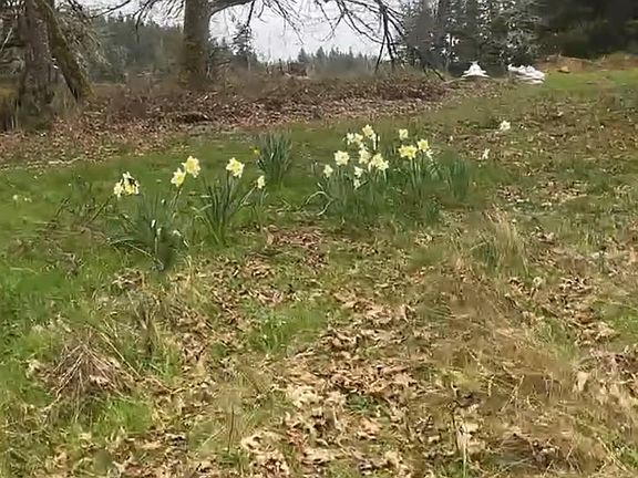 4th image of S Ferguson Rd