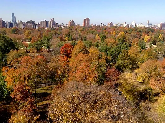 Sold by Sotheby's International Realty | media 13
