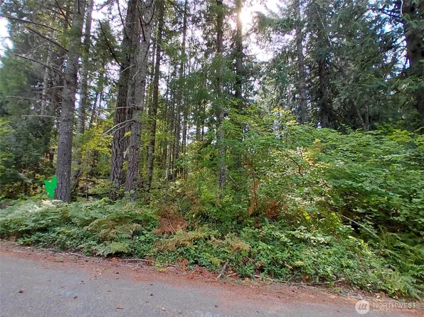 78 Fir Park Lane, Packwood, WA 98361