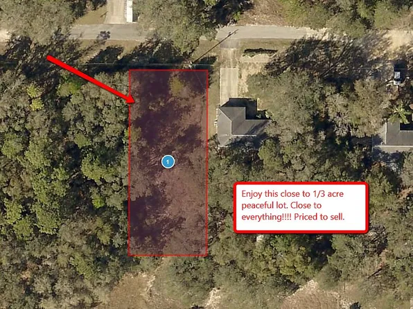 Casaurina Rd, Lady Lake, FL 32159