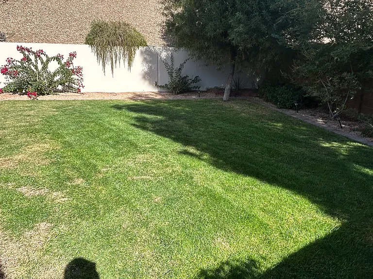 488 Canyon View Way — Photo 27