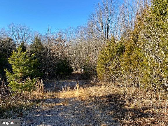 Trail to back of lot