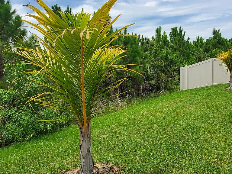 4227 Broomsedge Cir — Photo 51