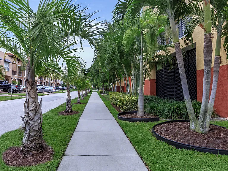 Adagio at Westshore Palms — Photo 29