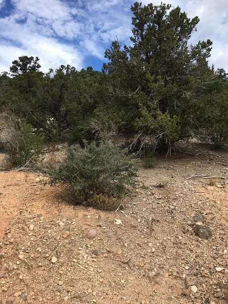 2nd image of 43 N Sundance Kid Trl