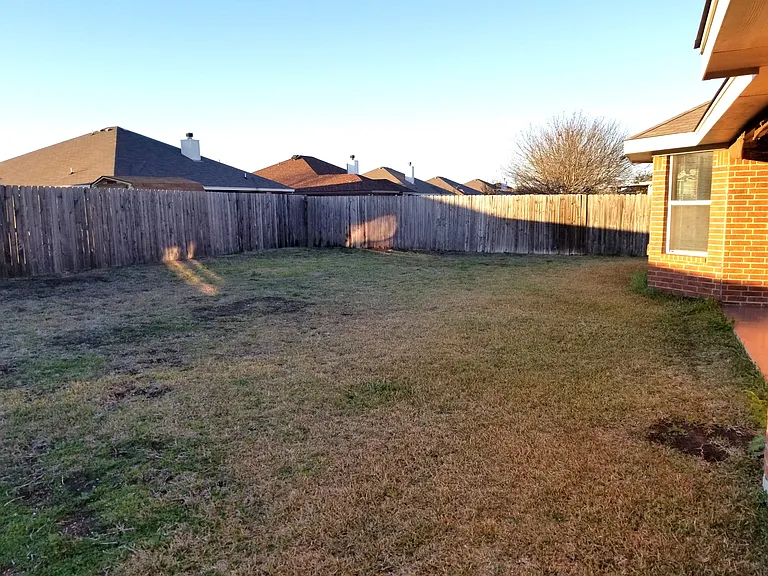 Back Yard
