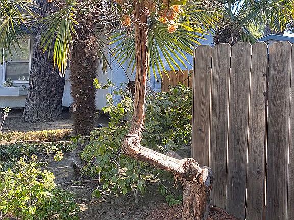 California Nursery, original