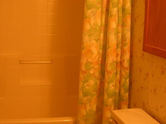 2nd image of 4463 Birchwood Dr