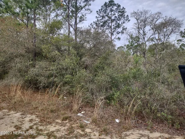 121 YOUNG Street, Interlachen, FL 32148