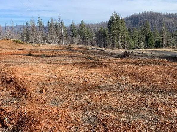 4826 Mount Pleasant Dr, Grizzly Flats, CA 95636