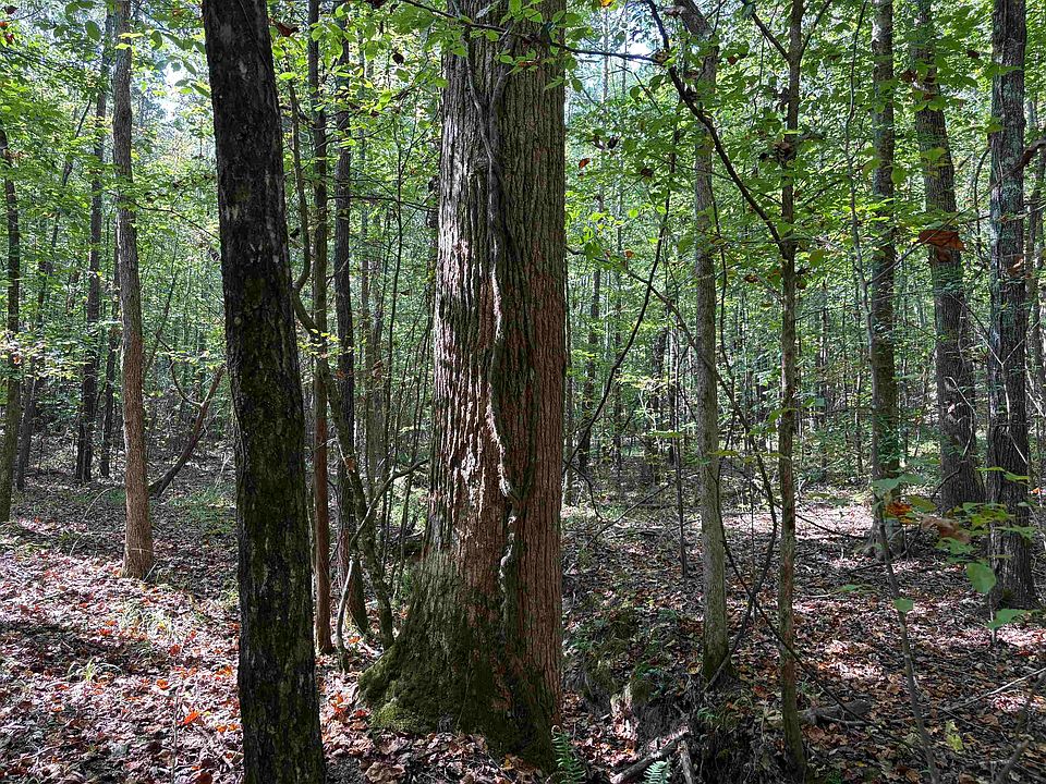 1st image of 0 County Road 227