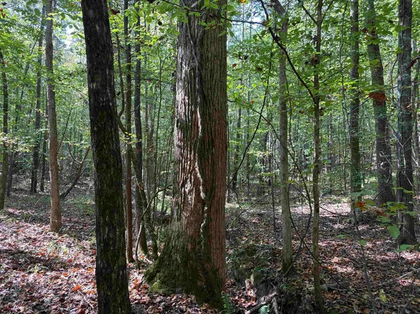 0 County Road 227, Tiplersville, MS 38674