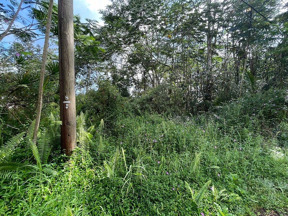 2nd image of Donnybrook Ln Lot 1074
