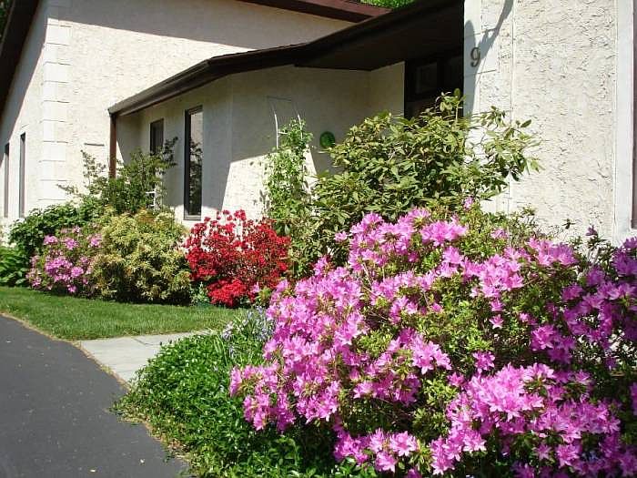 exterior in bloom