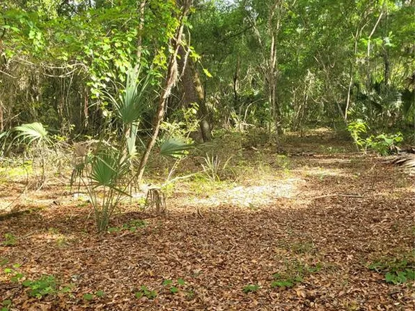 NE 210th St, Fort Mc Coy, FL 32134