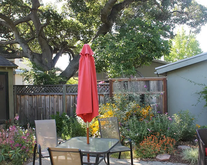Backyard -- dog not included