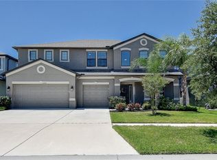11419 Carlton Fields Dr, Riverview, FL 33579