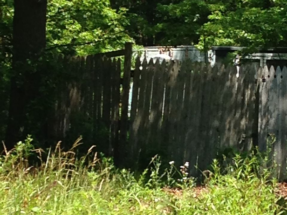 2nd image of 116 Maple Ave
