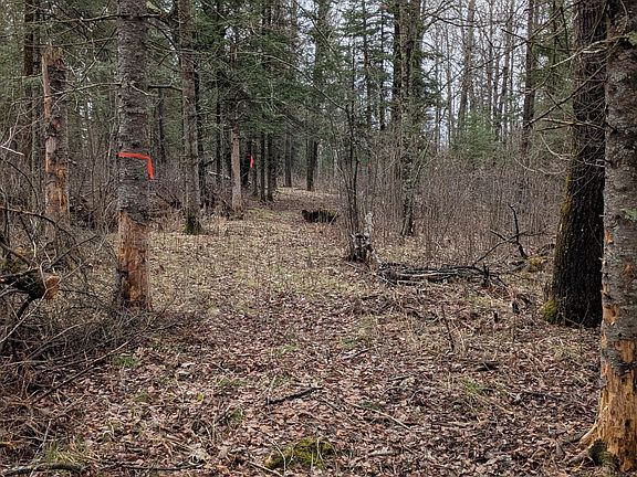 2nd image of 1102 W County Line Rd
