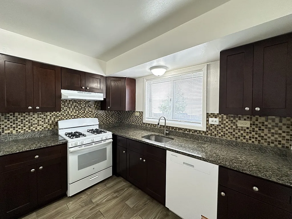 Awesome 2 Bed, 1 Bath at Carol Street + Crain (Park Ridge) — Photo 4