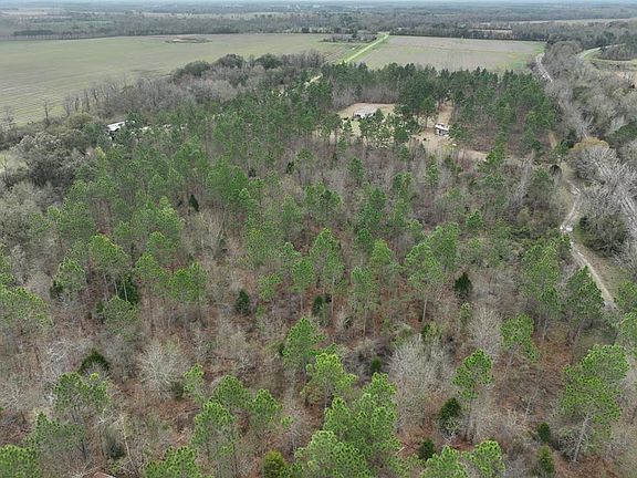 2nd image of 6175 Killebrew Rd