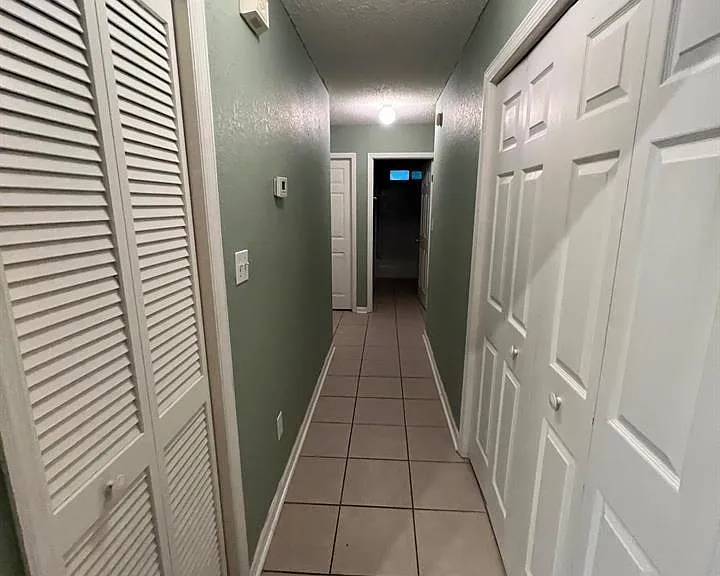 2456 Needle Palm Way — Photo 5
