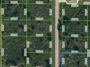 228 Otter Ave NW, Lake Placid, FL 33852