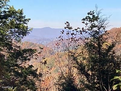 5th image of Elkins Valley Rd