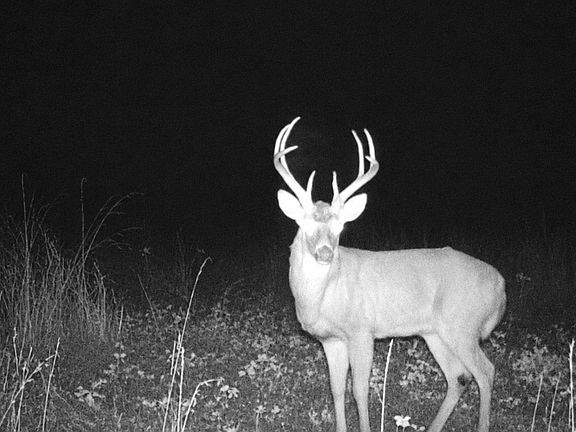 3rd image of 0 Texas Hollow Rd