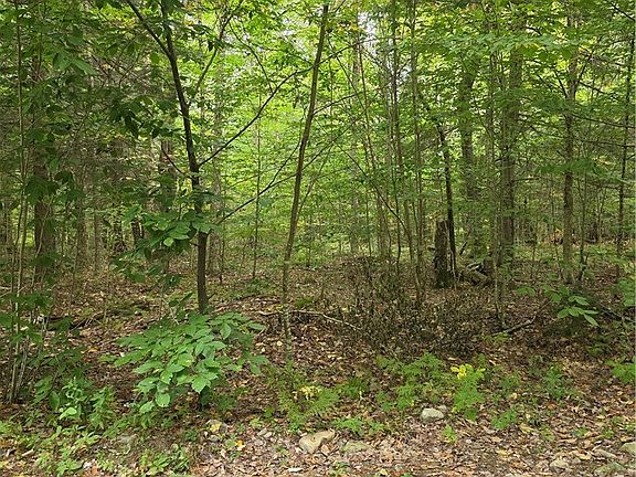 2nd image of Woodland Dr