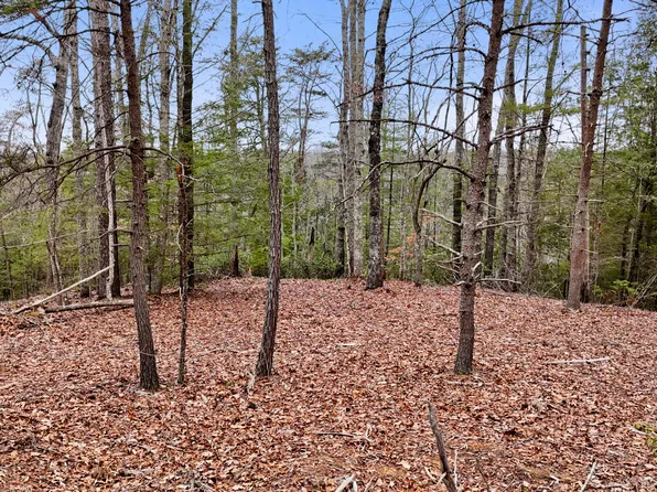 235 Eureka Rd, Zoe, KY 41397