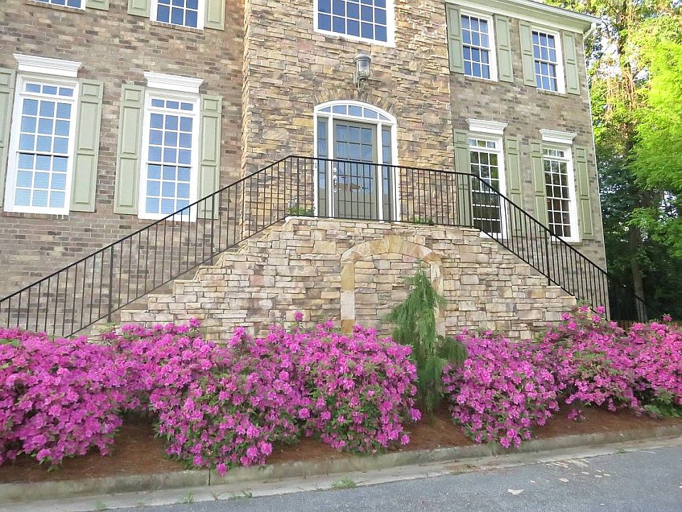 Twice blooming azaleas 