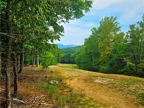133 View Point Dr #133 & 134, Traphill, NC 28685
