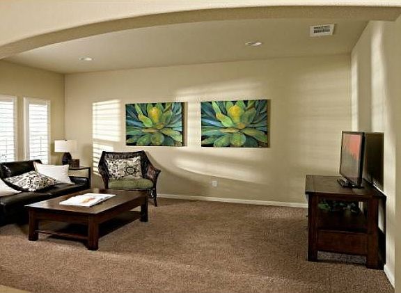 Den/Living or Bonus Rm