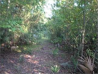 5th image of 760 McKeithen Dr